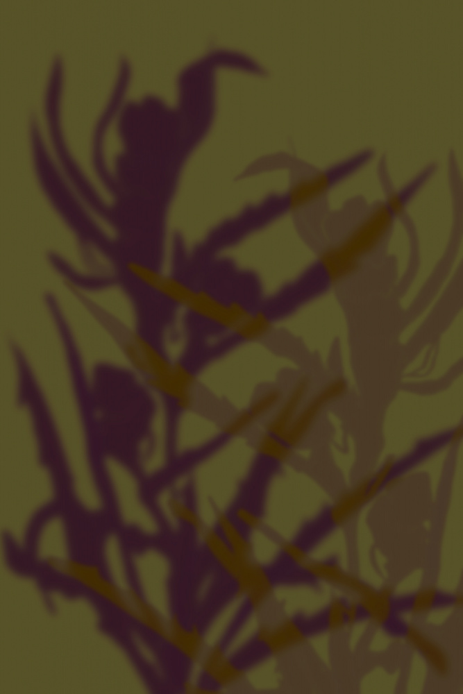 Deep Botanical Shadows by THE MIUUS STUDIO — canvas wall art
