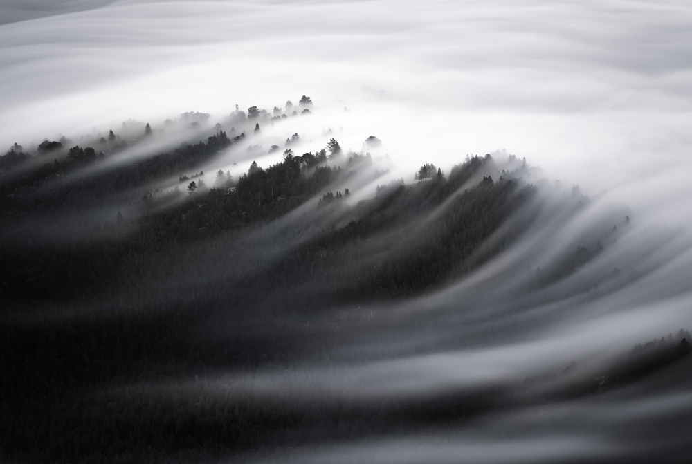 Flowing Mountain Fog by DonnaHom APA — canvas wall art