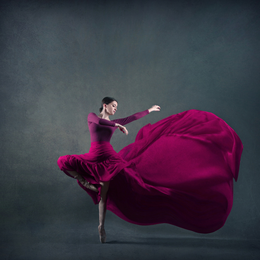 Elegant Magenta Dance by Moein Hasheminasab — canvas wall art