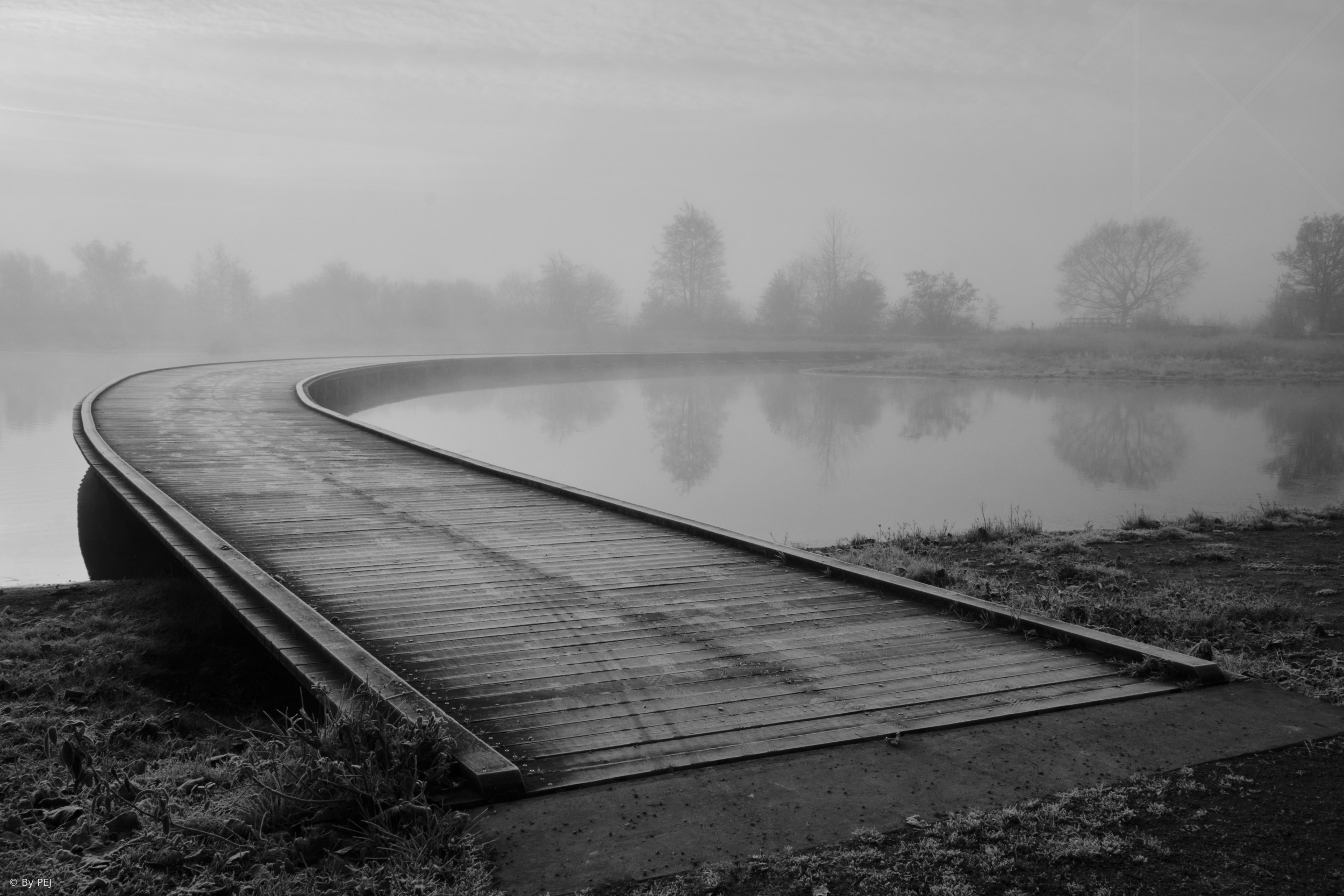 Backyard Morning 0106