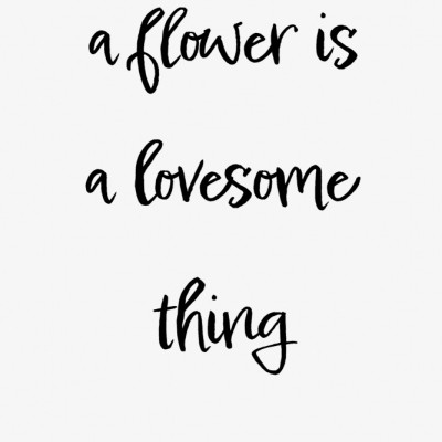 A flower is a lovesome thing