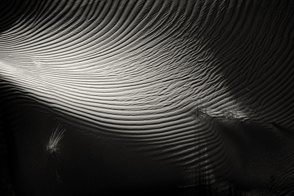 Monochrome Sand Waves by Izidor Gasperlin — canvas wall art