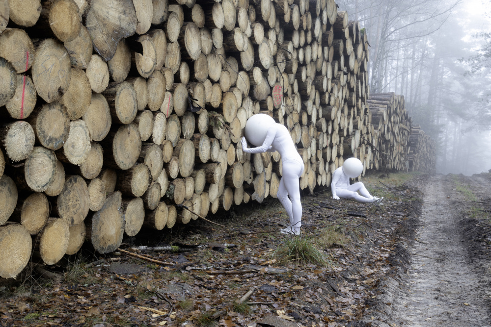 Misty Forest Figures by Leszek Paradowski — canvas wall art
