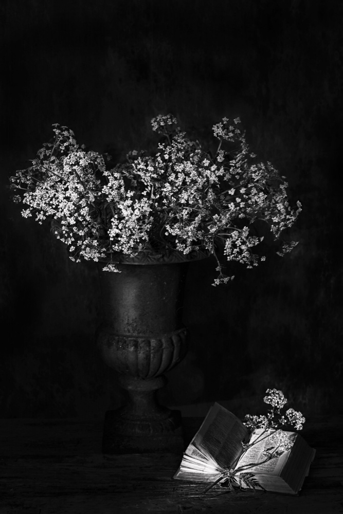Moody Floral Still Life by Saskia Dingemans — canvas wall art