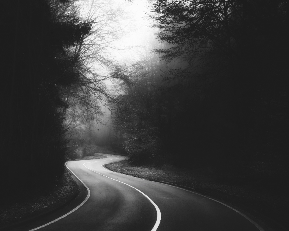 Misty Forest Road by Alexej Schulz — canvas wall art