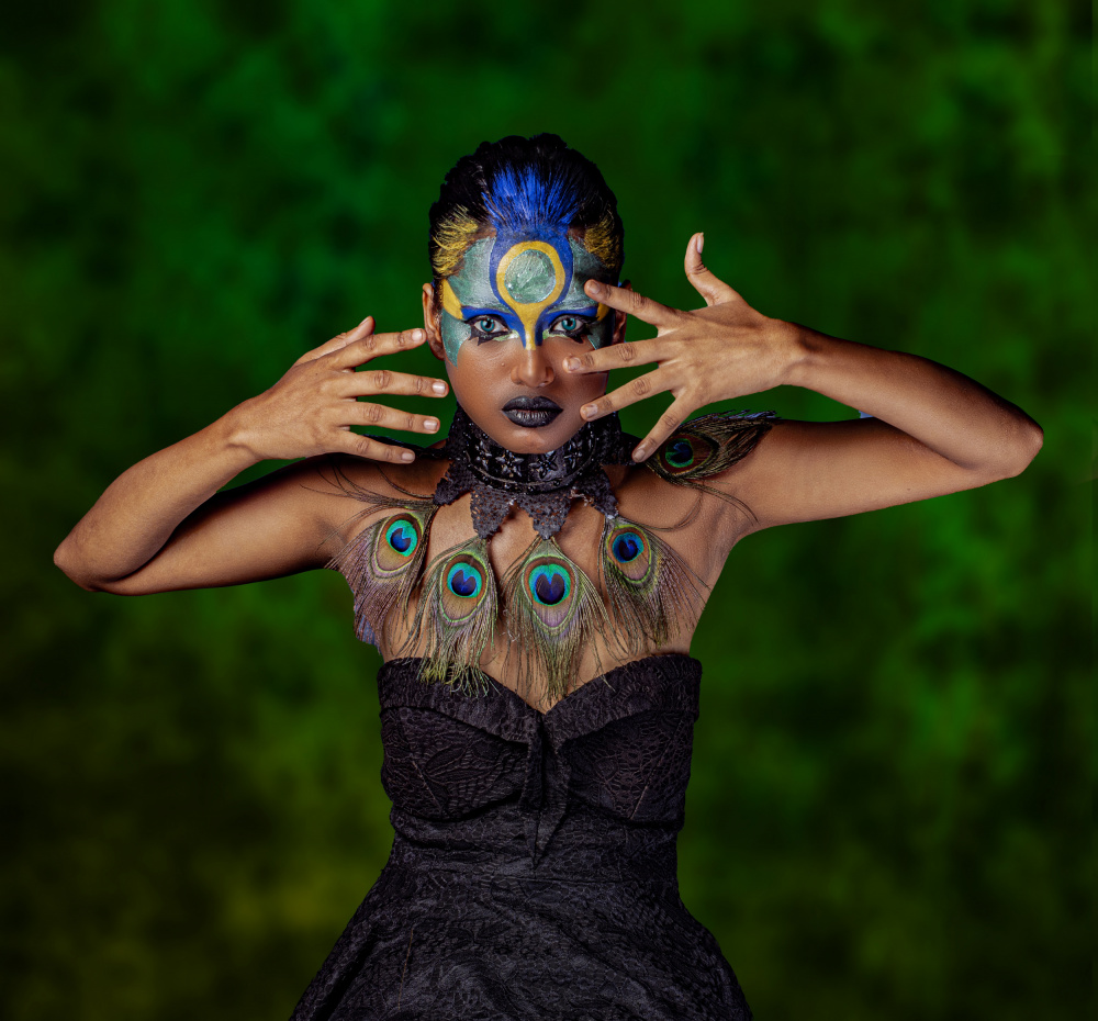 Dramatic Peacock Beauty by DEBASISH CHATTOPADHYAY — canvas wall art