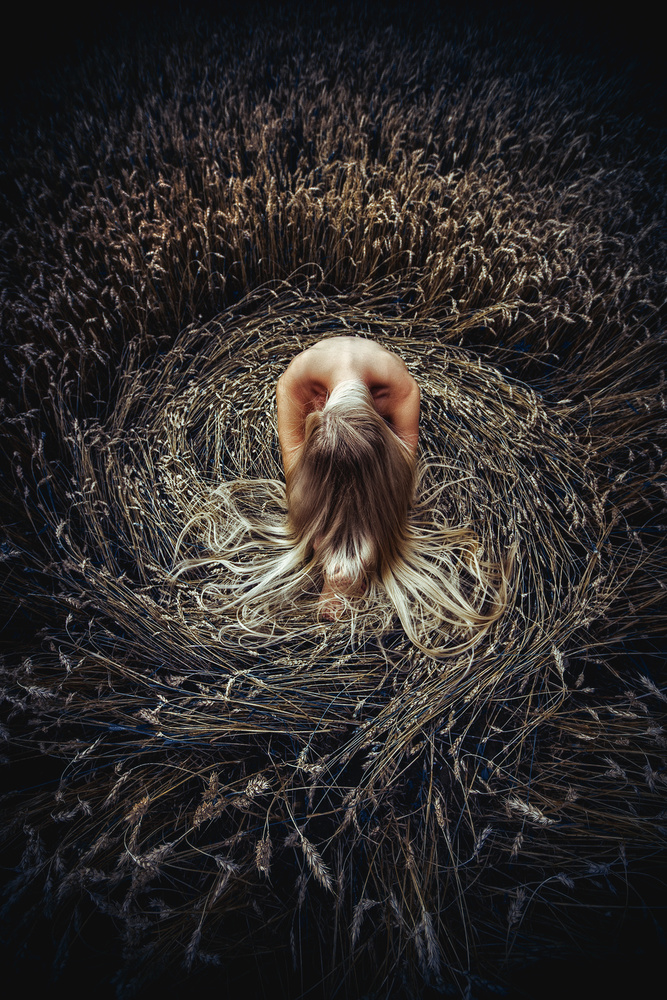 Woman In Golden Wheat by Ruslan Bolgov — canvas wall art