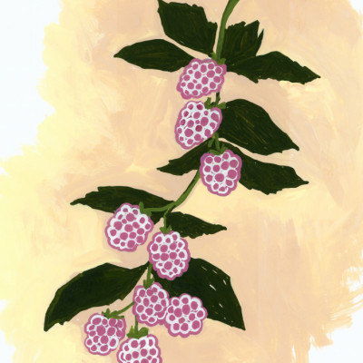Vibrant Berry Branch