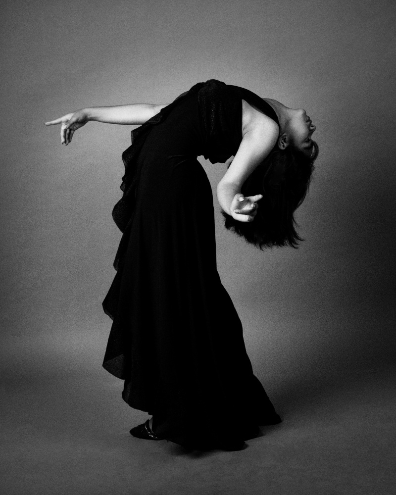 Graceful Dance Movement by Mehdi Mokhtari — canvas wall art