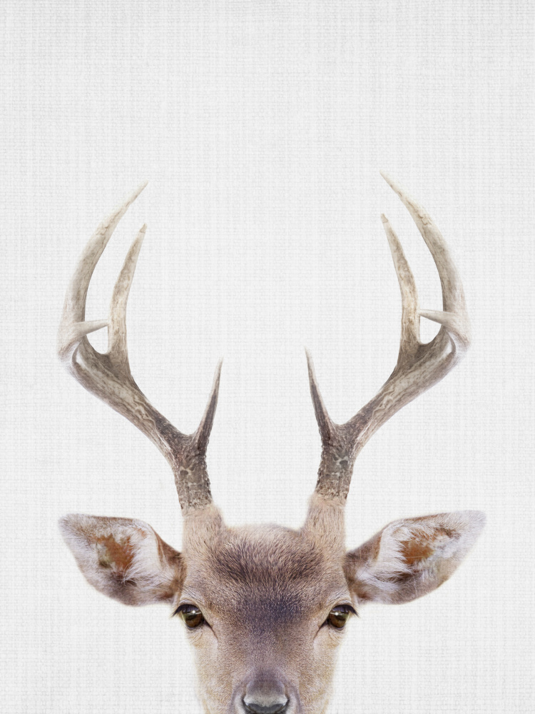 Majestic Stag Portrait by Lila & Lola — canvas wall art