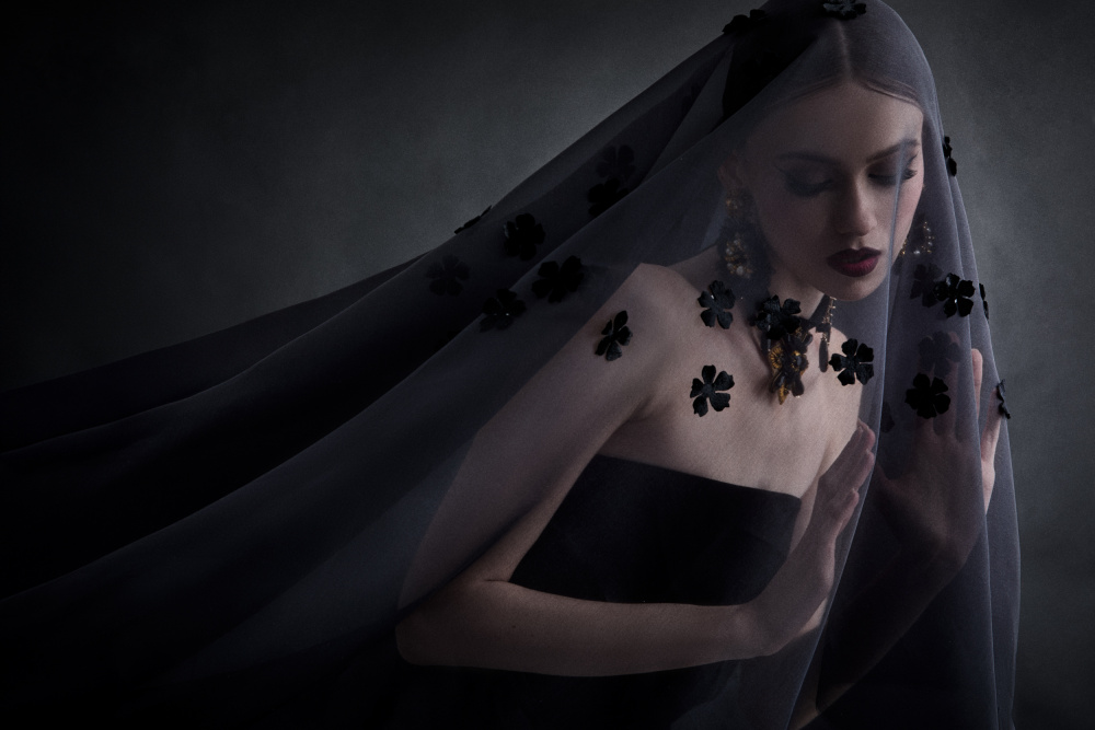 Mysterious Veiled Woman by Tatya Lushchyk — canvas wall art