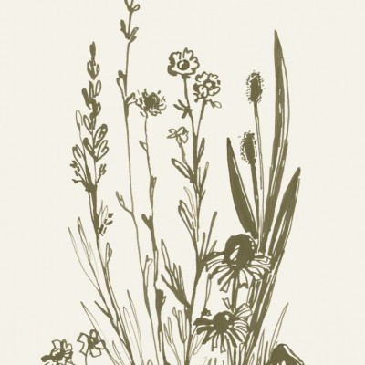 Wildflowers ink sketch