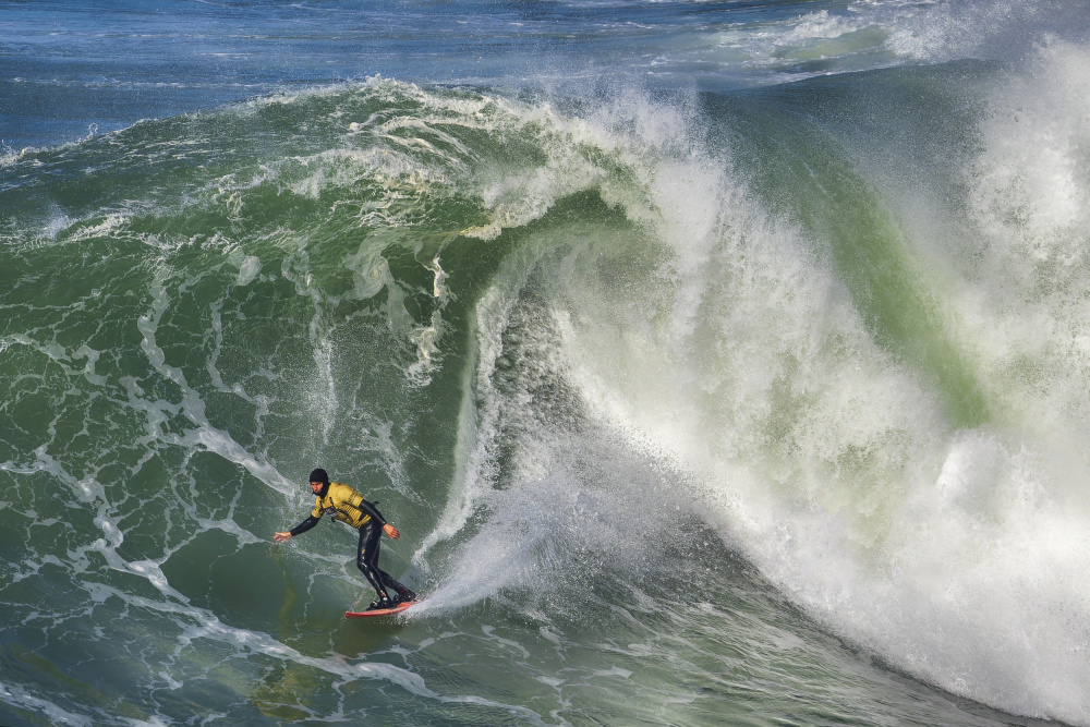 Surfer on Giant Wave by Benjamine Hullot Scalvenzi — canvas wall art