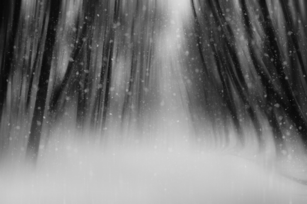 Falling Winter Snow by YoungIl Kim — canvas wall art