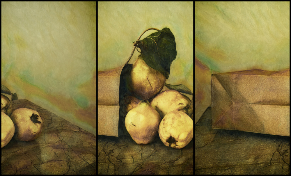 Rustic Quince Still Life by Marie-anne Stas — canvas wall art