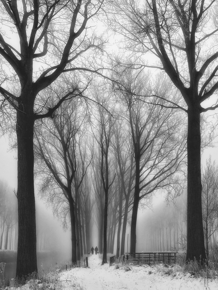 Misty Winter Path by Yvette Depaepe — canvas wall art