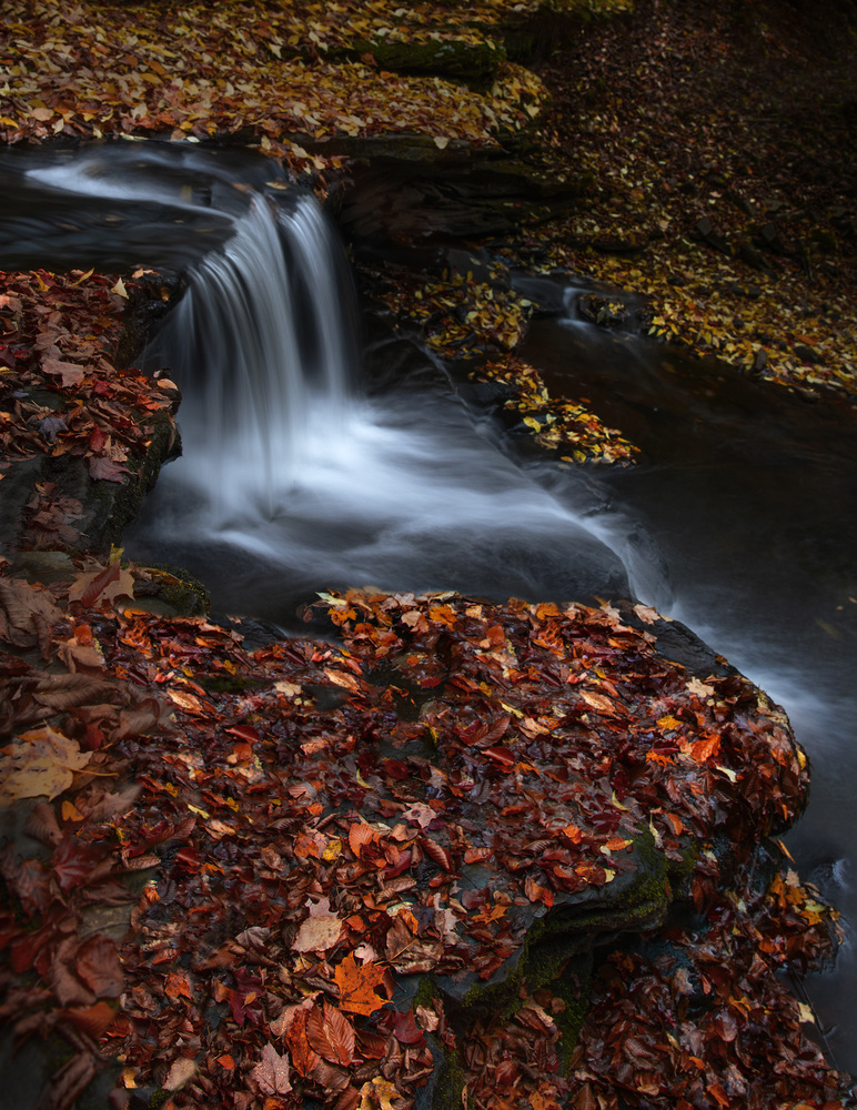Autumn Forest Waterfall by Yanny Liu — canvas wall art
