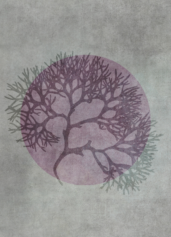 Purple Coral Circle by Andrea Haase — canvas wall art