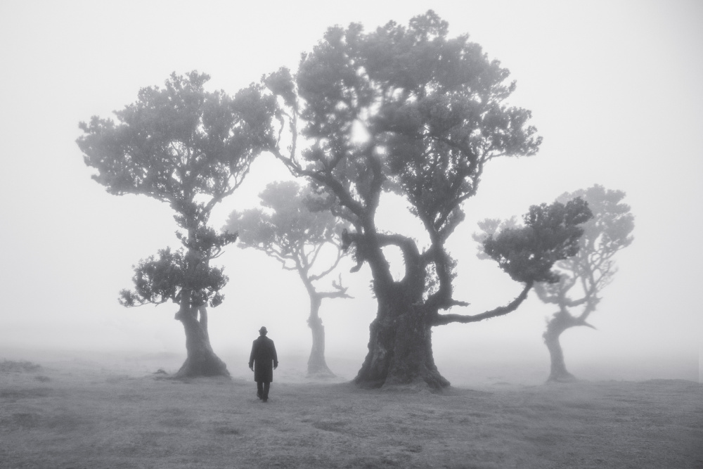 Man in Foggy Forest by Roelof de Hoog — canvas wall art
