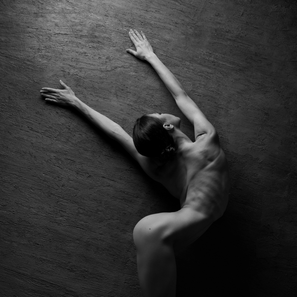Graceful Human Form by Natalya Sleta — canvas wall art