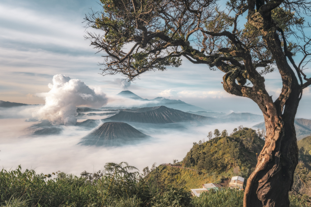 Mount Bromo Misty Morning by R Suguri — canvas wall art