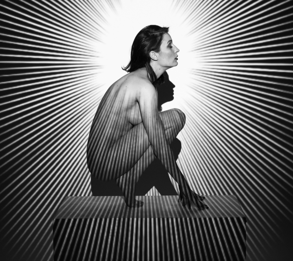 Striped Shadow Profile by Miki Meir Levi — canvas wall art