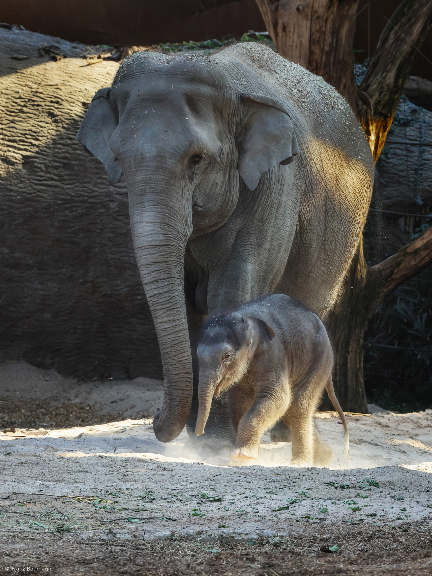 Mother and Son