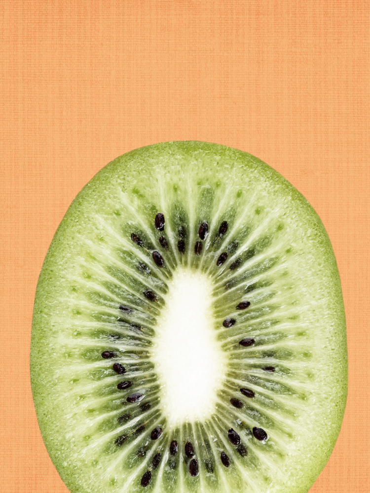 Fresh Kiwi Slice by Lila & Lola — canvas wall art