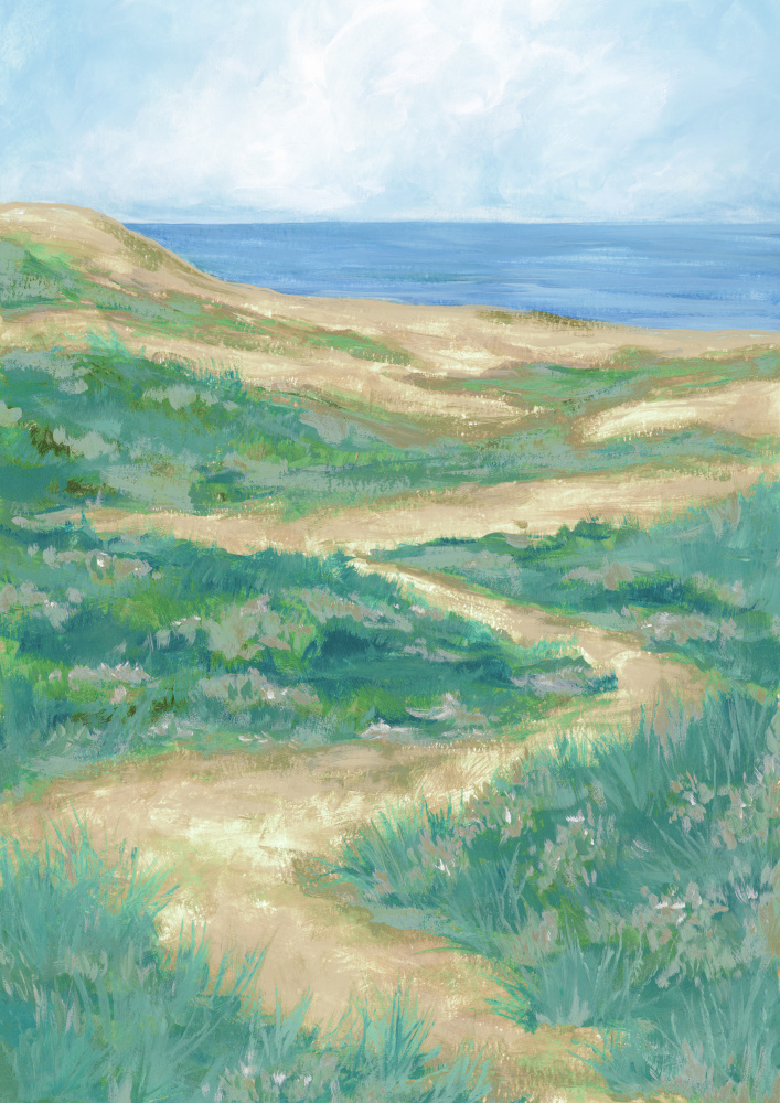 Serene Coastal Path by Rosana Laiz Blursbyai — canvas wall art