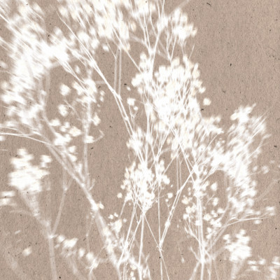 Soft Plant Silhouettes