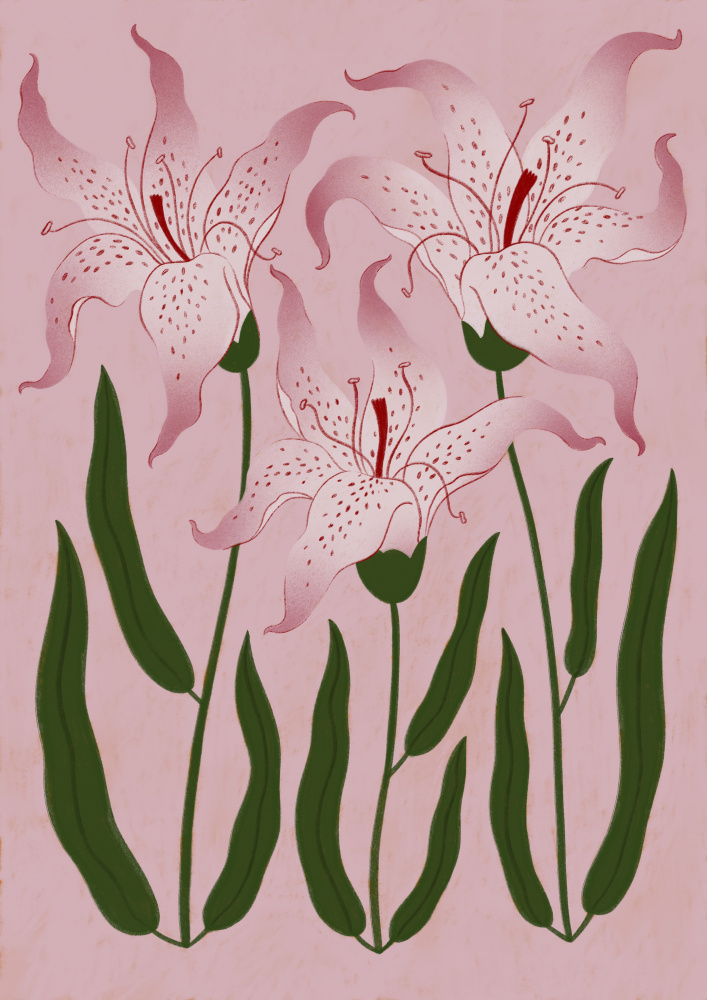 Botanical Pink Lilies by Ida Alvarsson — canvas wall art