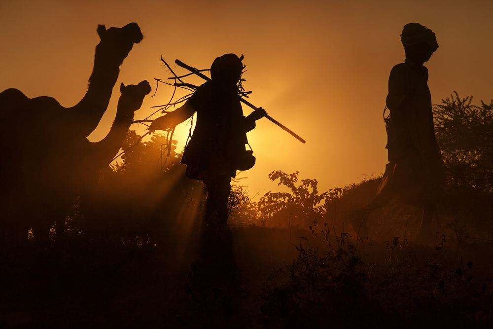 Desert Sunset Journey by Jassi Oberai — canvas wall art