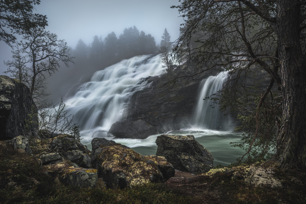 Misty Forest Waterfall by Ole Henrik Skjelstad — canvas wall art