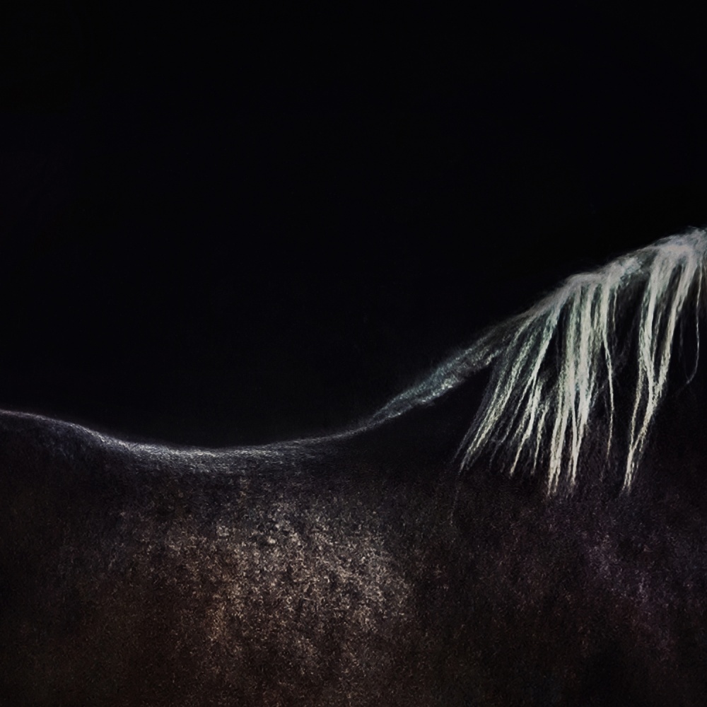 Majestic White Mane Horse by Piet Flour — canvas wall art