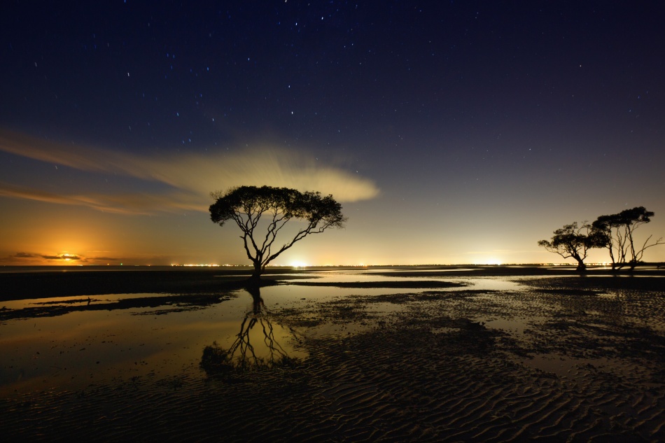Night Sky Coastal Reflection by Mel Brackstone — canvas wall art