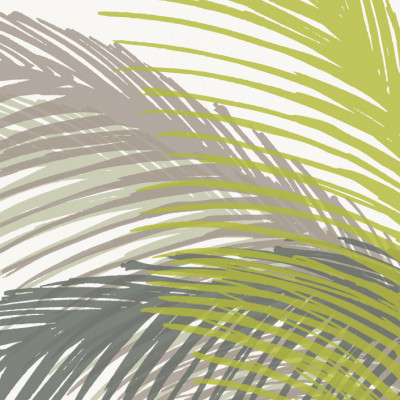 Palm Leaf Silhouette