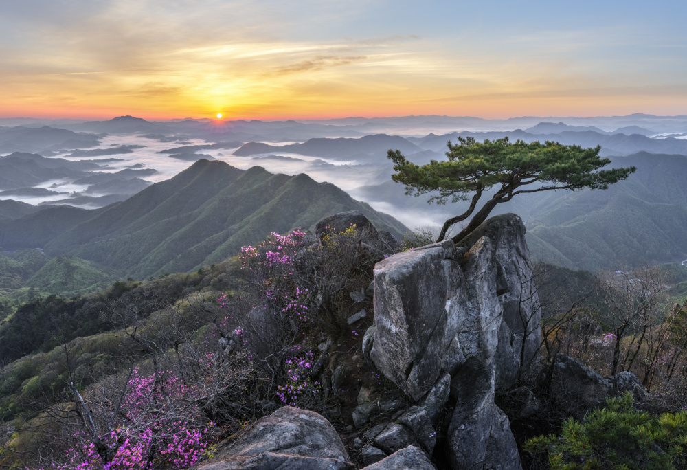 Misty Mountain Sunrise by Jaeyoun Ryu — canvas wall art