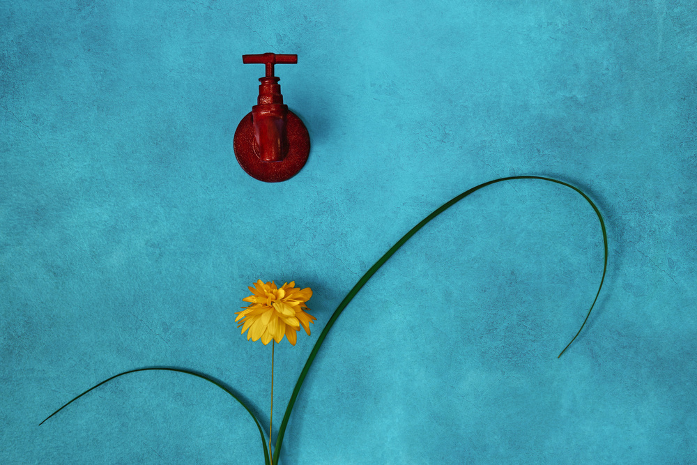 Red Faucet Yellow Flower by Stephen Clough — canvas wall art
