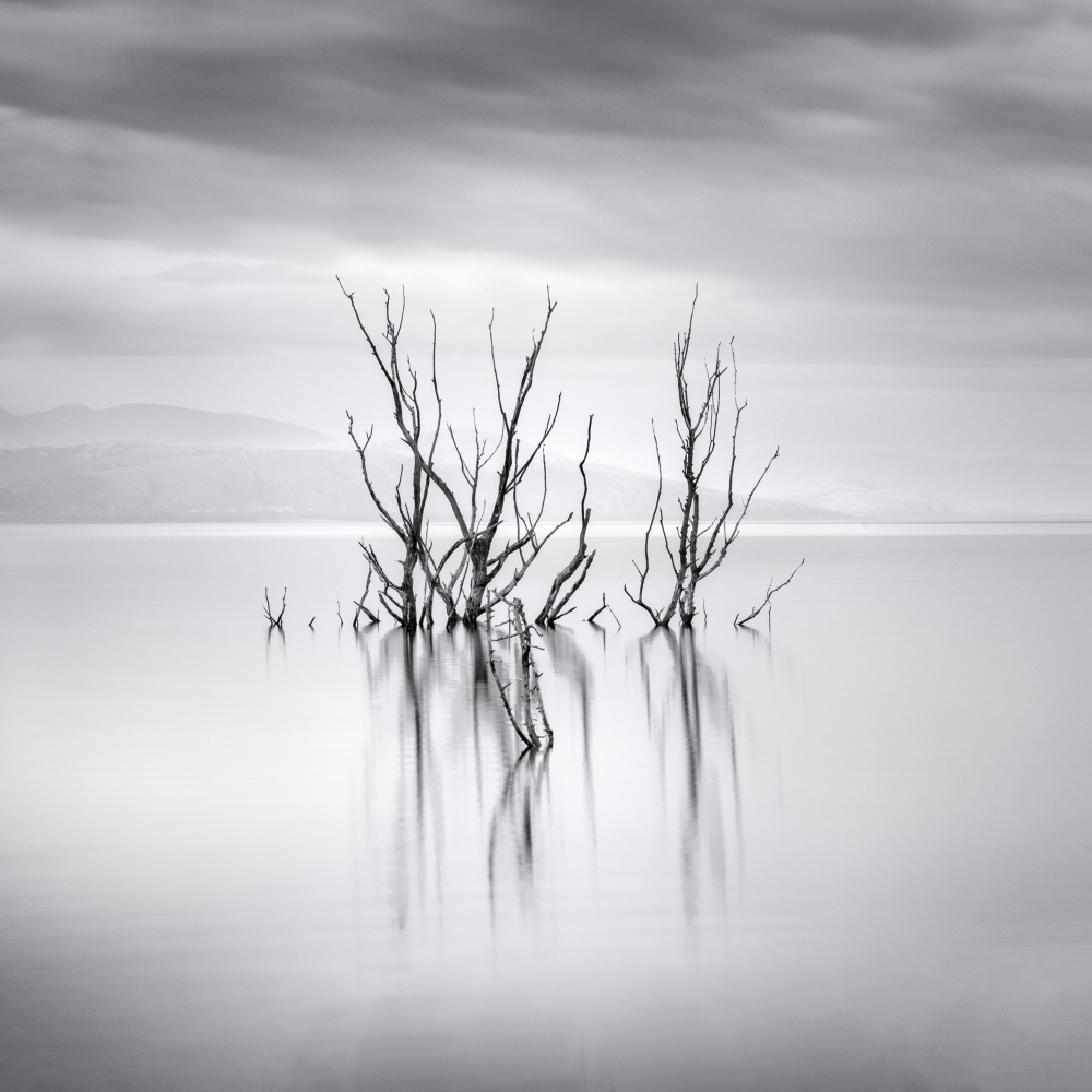 Serene Lake Reflections by George Digalakis — canvas wall art