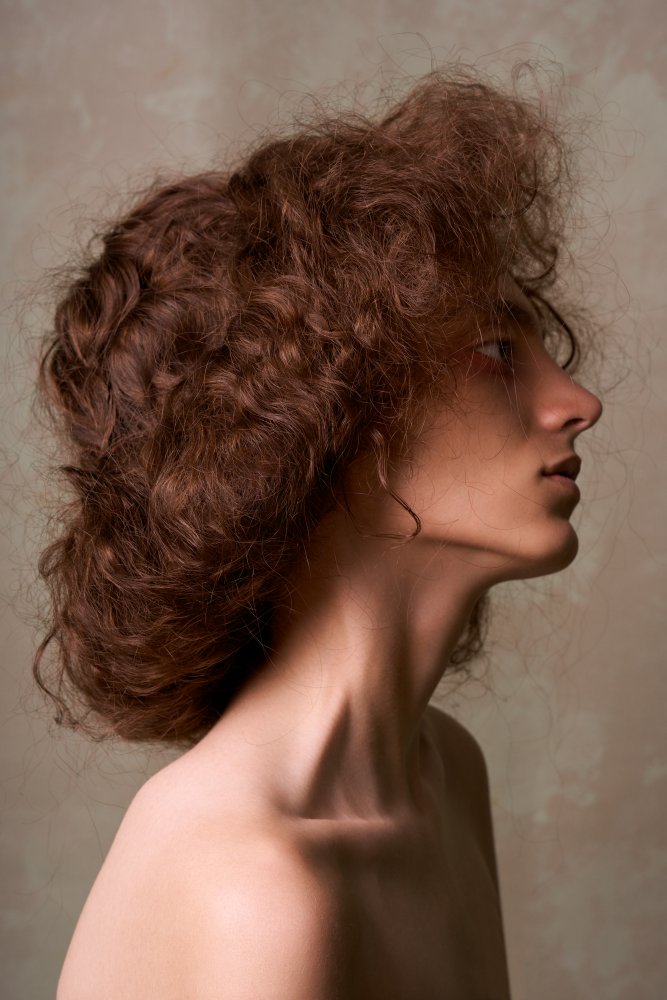 Woman's Elegant Profile by Peyman Naderi — canvas wall art