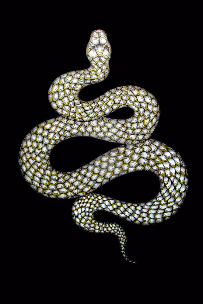 Golden Scaled Snake by EC Mazur — canvas wall art