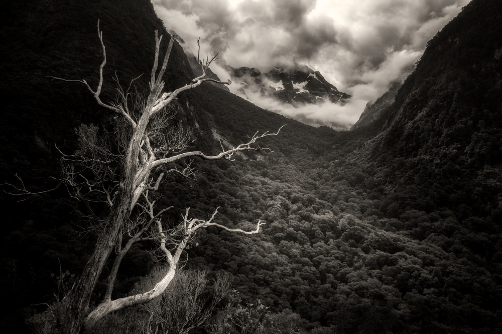Dramatic Mountain Valley by Atul Chopra — canvas wall art