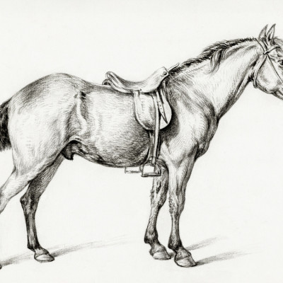 Standing Horse By Jean Bernard (1775 1883)