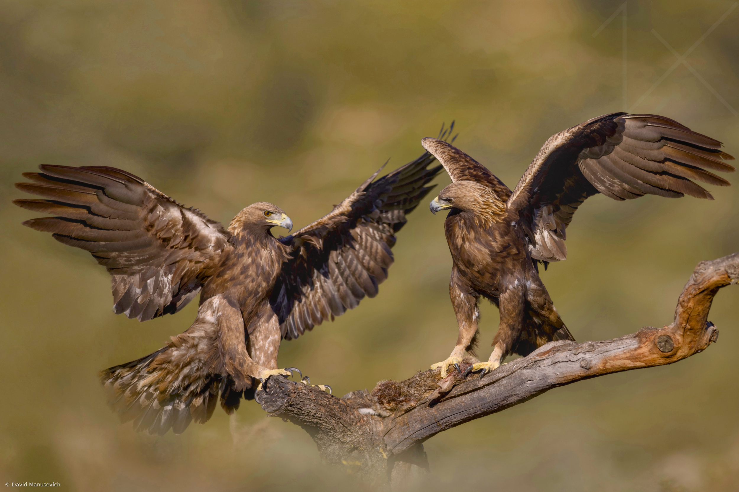 c5aafed7d48aba15e6af74a1723cfe