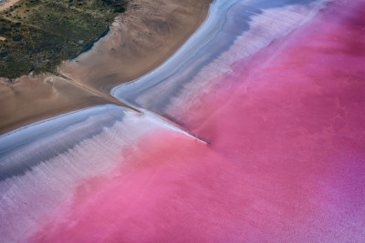 Pink Devide by James Zhen Yu