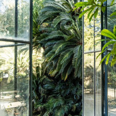 City Oasis 1 018a0264