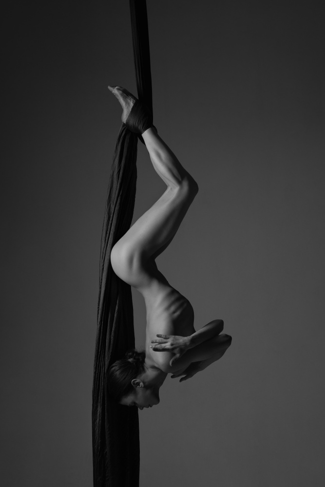 Aerial Silks Grace by Natalya Sleta — canvas wall art