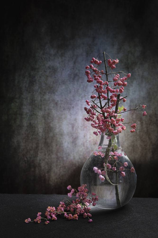 Pink Berries Still Life by Martine Benezech — canvas wall art