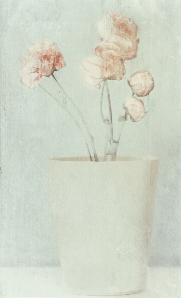 Soft Faded Flowers by Delphine Devos — canvas wall art