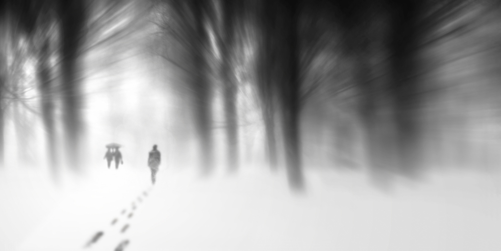 Ethereal Winter Walk by David Senechal Photographie (polydactyle) — canvas wall art